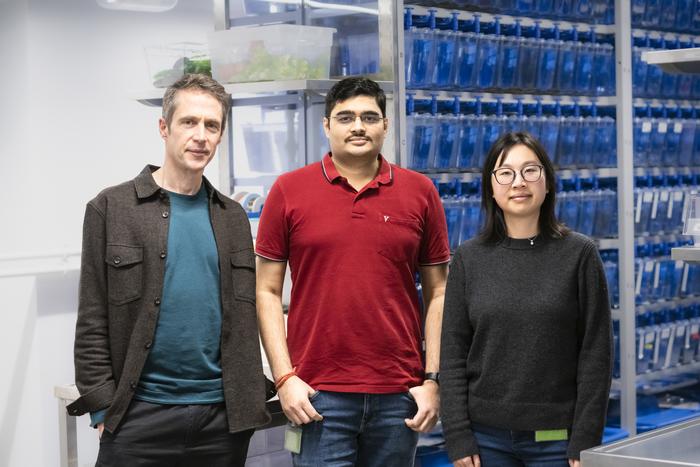 Heisenberg, Mishra, Li at ISTA