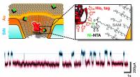 Artificial Nanopore Modified with Specific Receptor