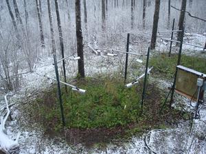 B4WarmED: A warming experiment in winter