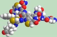 3-D Baringolin Structure Reproduction