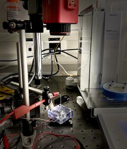 The LNET's experimental setup. 2026 LNET EPFL CC BY SA