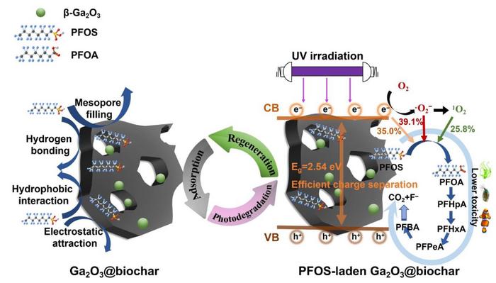 Promoted sequestration and photo-induced destruction of perfluorooctane sulfonate using photoregenerable β-Ga2O3-functionalized biochar: superior defluorination and mechanistic insights