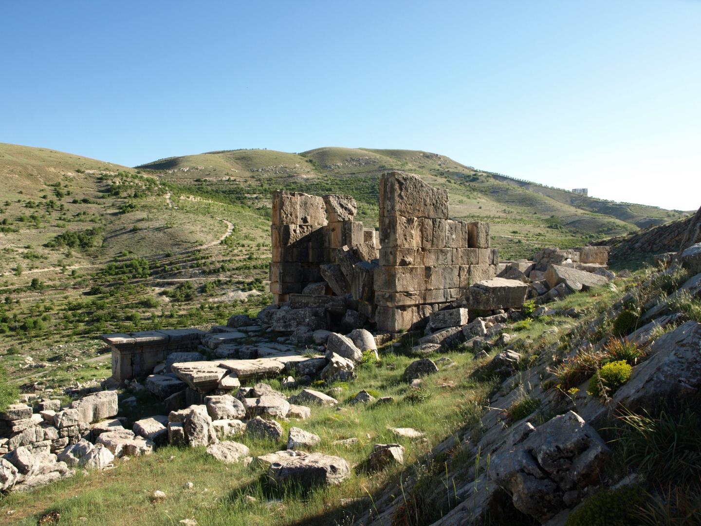 Standing Remains 