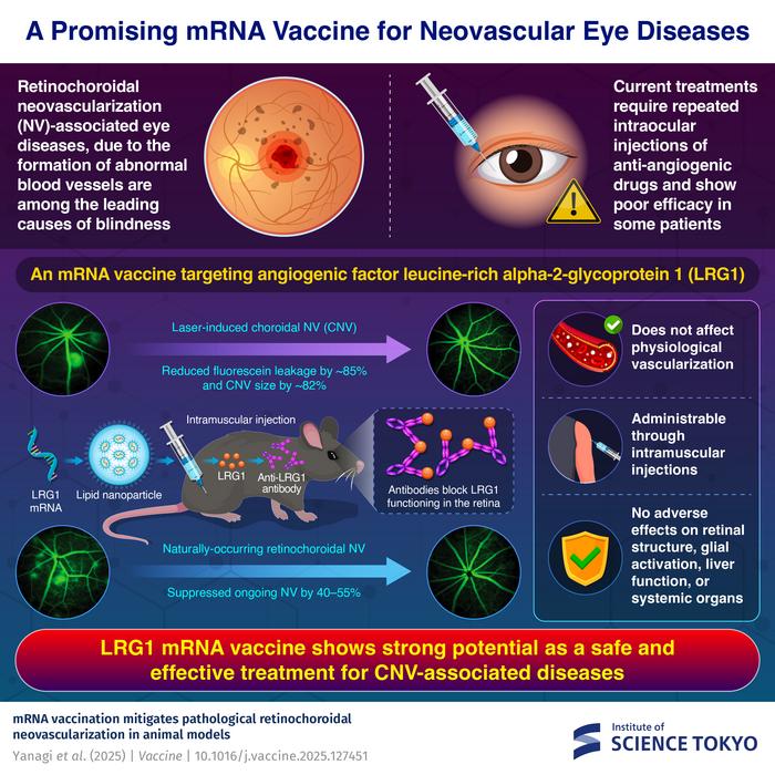A promising mRNA vaccine for neovascular eye diseases