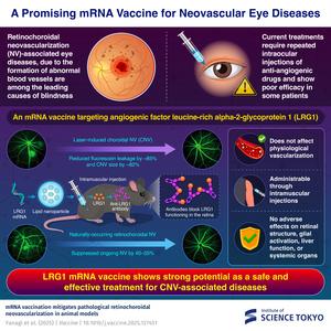 A promising mRNA vaccine for neovascular eye diseases