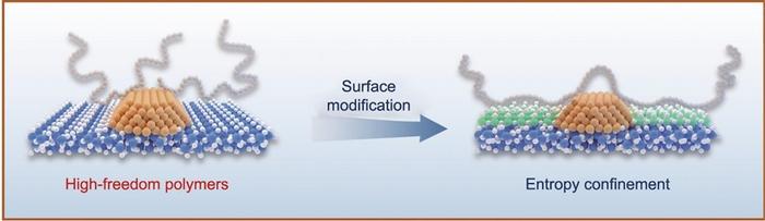 Schematic illustration of the entropy-confinement effect induced by the silane coupling process.