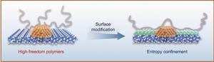 Schematic illustration of the entropy-confinement effect induced by the silane coupling process.