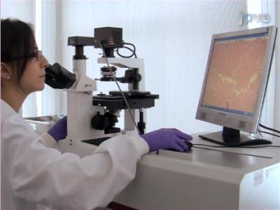 Reprogramming Somatic Cells into Stem Cells