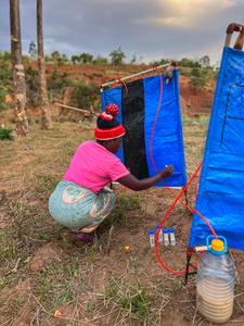 IMG_5537.jpg - A trap attendant carefully removes blackflies from a trap