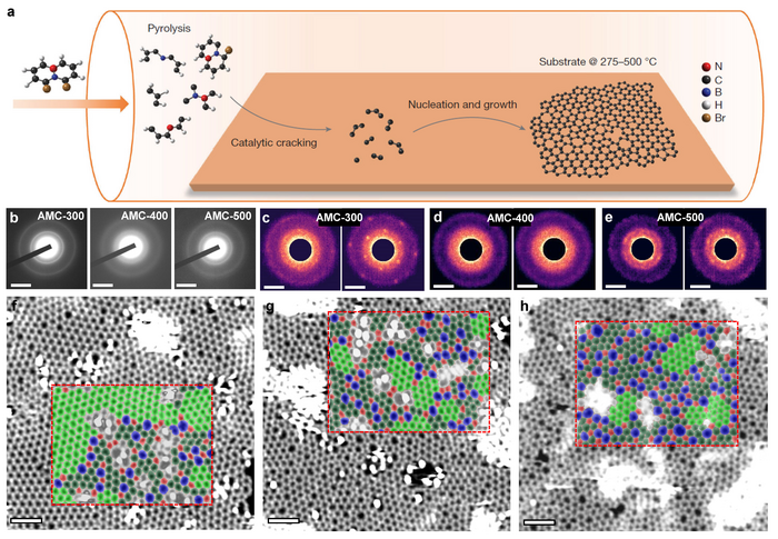 User of SHMFF Reveals the Structure-property Relationship of Two-dimensional Amorphous Carbon