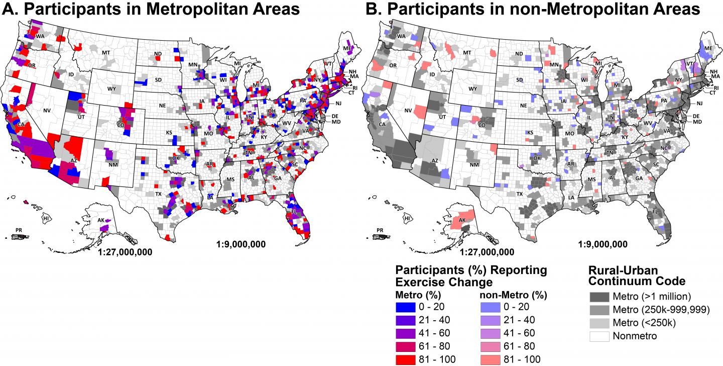 Participants (%) Reporting Exercise Changes