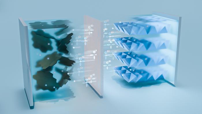 A single additive enables long-life, high-voltage sodium batteries