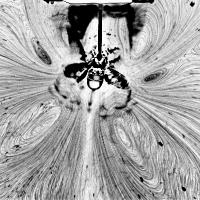 Surface Streaming Flow Pattern