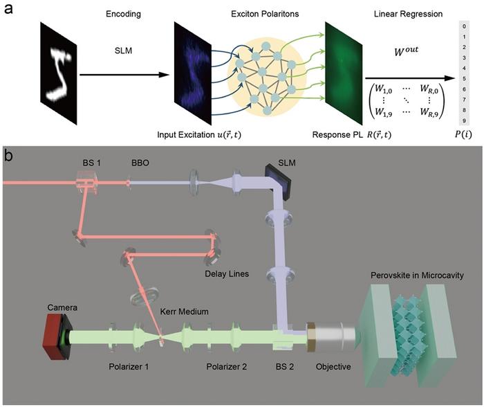 Figure | Working principle of polaritonic neuromorphic computing.