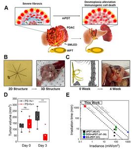 Octopus-Inspired 3D Micro-LEDs Pave the Way for Selective Pancreatic Cancer Therapy​