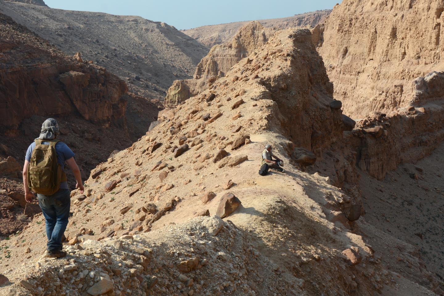Hidden Cradle of Early Plant Evolution Discovered in the Middle East (1 of 8)