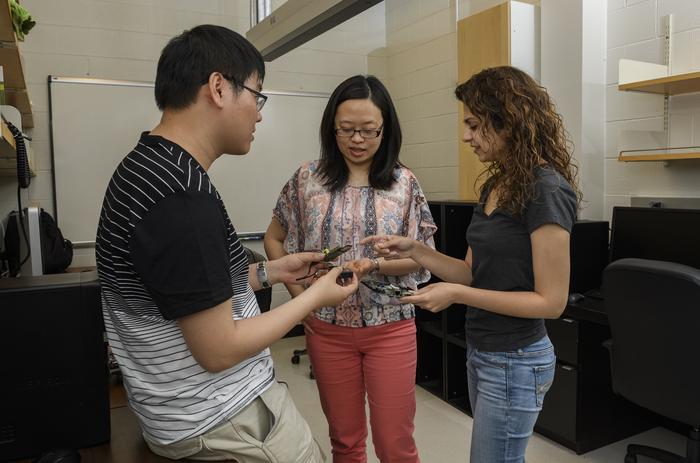 Next-generation secure computer chips