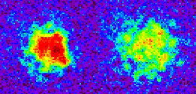 Simulated Big Bang