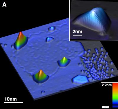 Graphene Nanobubbles