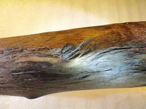 Close-Up Preserved Wood