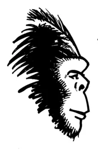 Bigfoot illustration 1