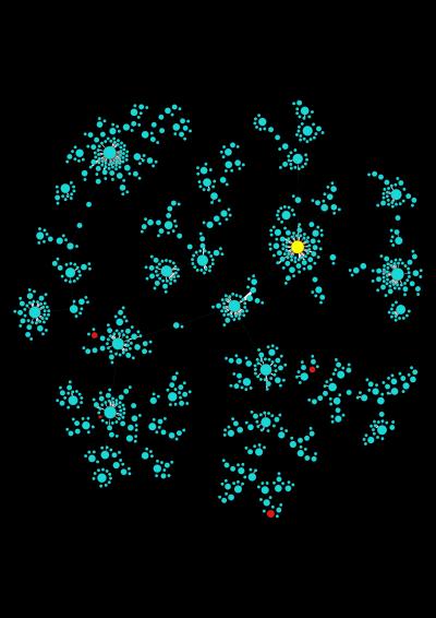 Social-network Cluster on Save Darfur Cause
