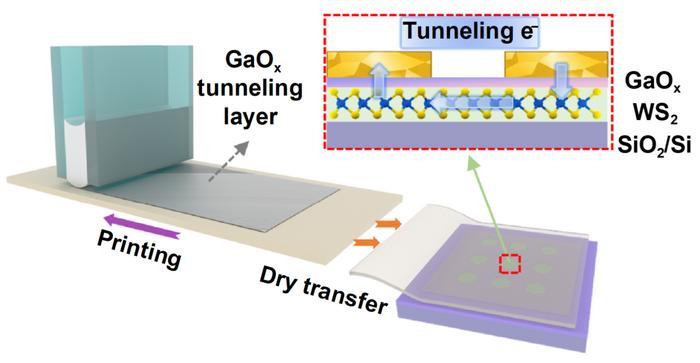 Ultrathin printed GaOx tunneling contacts for high-performance WS2 transistors