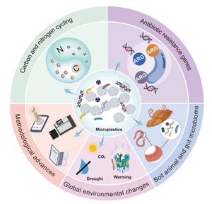 Effects of microplastic on soil ecosystems: a perspective from functional genes