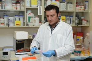 Bar-Ilan University Scientists Uncover How Sirt6 Balances a Key Longevity Molecule to Protect Against Aging and Disease