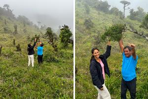 STRI botanists Jorge Aranda and Joana Sumich