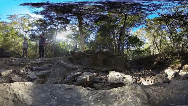 Virtual Trek