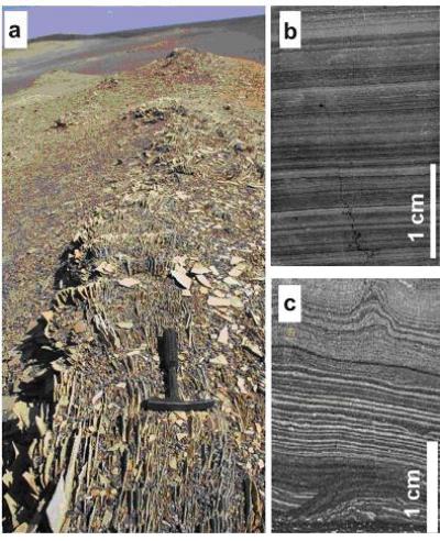 Dolostones and Laminites