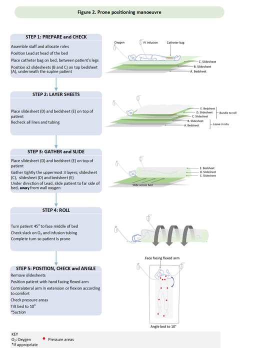 Diagram illustrating new protocol for proning a COVID-19 potential adjuvant treatment