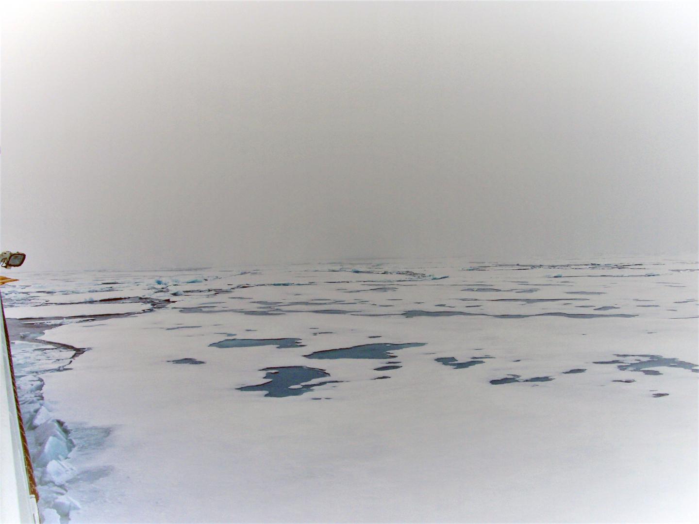 Melt Ponds (1 of 2)