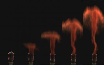 How Exploding Moss Launches Its Spores (6 of 9)
