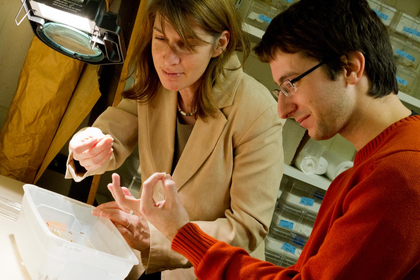 Sara Helms Cahan and Michael Hermann, University of Vermont