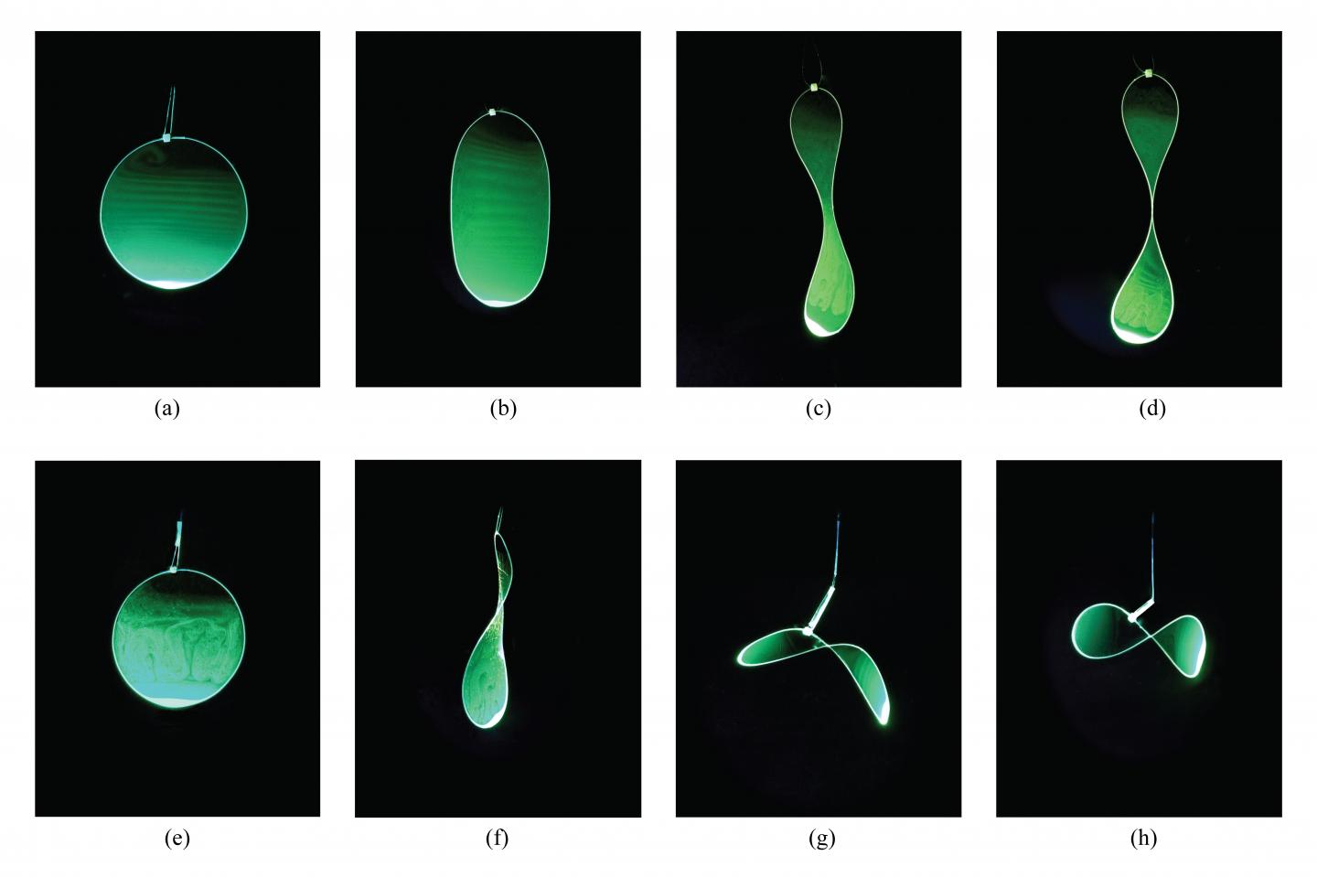 Loops Spanned by Soap Films