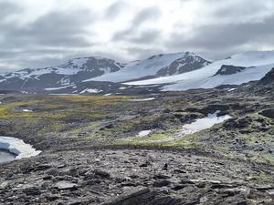 Remains of the McCloud Glacier, 2024