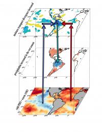 Amazonian Rainfall