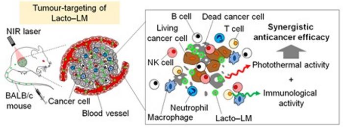 Figure 1. Conceptual diagram of cancer photoimmunotherapy utilizing multifunctional liquid metal nanocomposites.