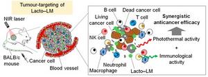 Figure 1. Conceptual diagram of cancer photoimmunotherapy utilizing multifunctional liquid metal nanocomposites.