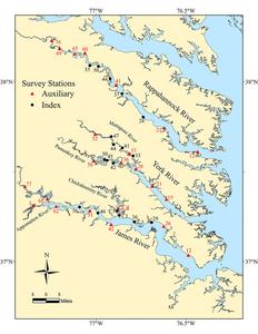 Survey Sites
