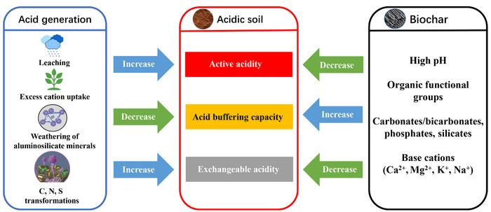 The key role of biochar in amending acidic soil: reducing soil acidity and improving soil acid buffering capacity