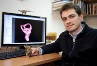Fabien Knoll, CSIC