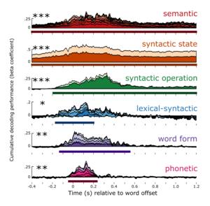 How the Brain Works to Decode Words