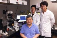 Researchers with Force Probe