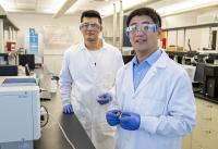 Researchers