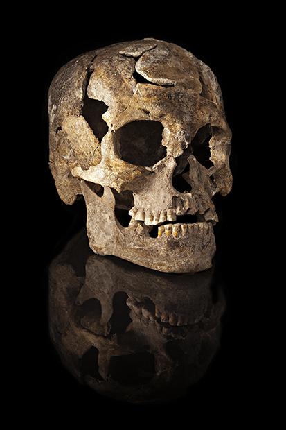 Skull Similarities Suggest Multiple Migrations into South America (1 of 4)