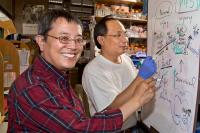 Kuo-Fen Lee and Tsung Chang Sung, Salk Institute