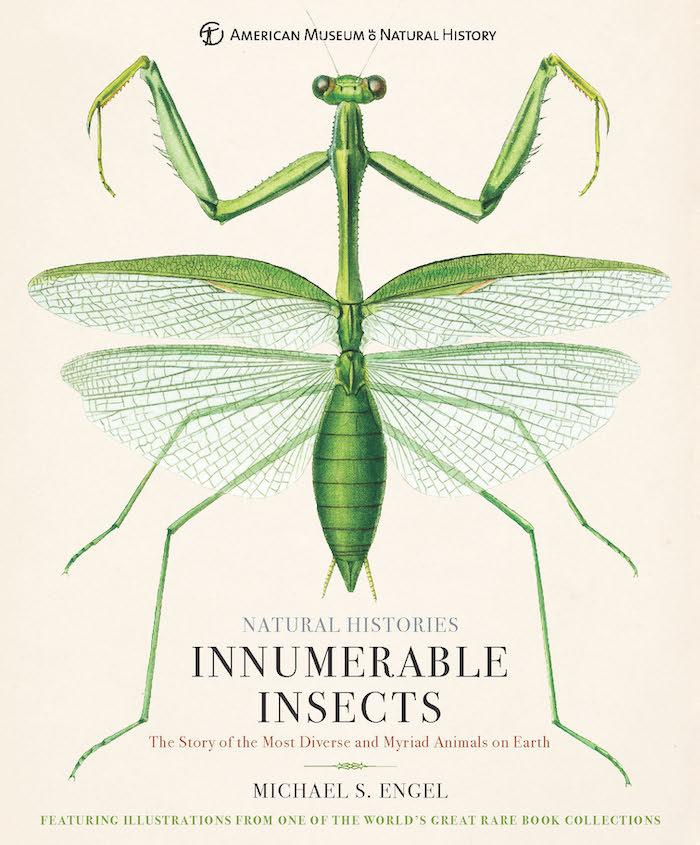 Cover of 'Innumerable Insects'